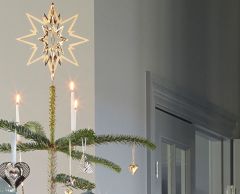 Georg Jensen Topstjerne stor